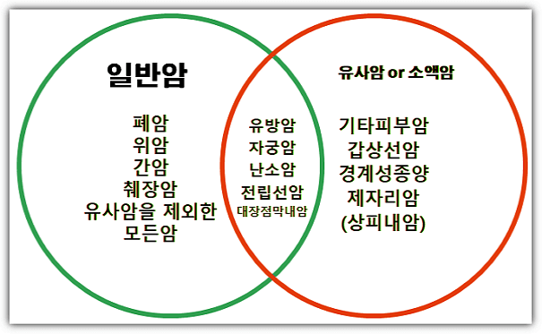 일반암 유사암