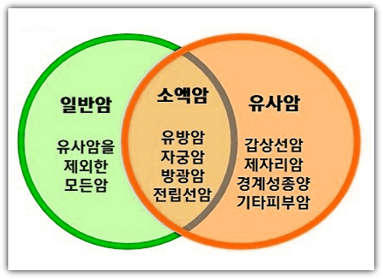 일반암 유사암 소액암
